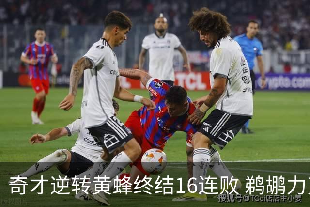 奇才逆转黄蜂终结16连败 鹈鹕力克76人3连胜